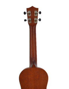 Ukulélé concert 2