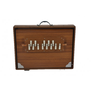 Shruti box professionnel en bois de Teck - 3 octaves avec housse de transport
