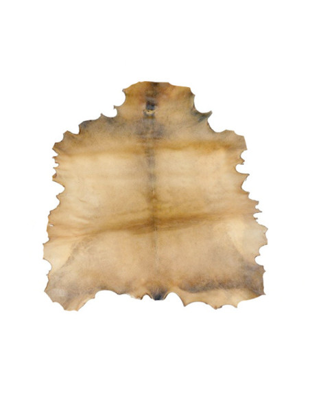 Peau de chèvre parcheminée entière - Diamètre 70-80 cm