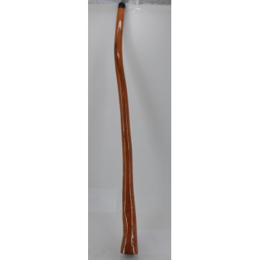 Didgeridoo professionel en Suren naturel hauteur : entre 1m70 et 1m90 + housse
