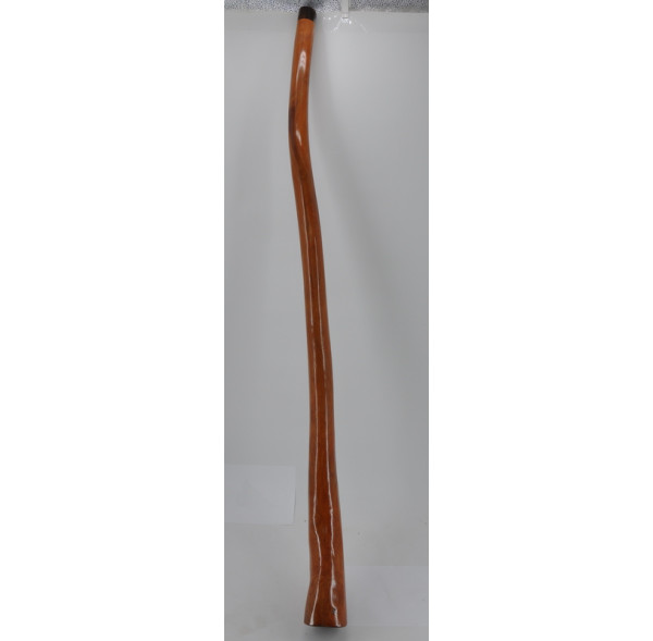 Professional Didgeridoo in Natural hibiscus - 170-190 cm + Cover - ROOTS
