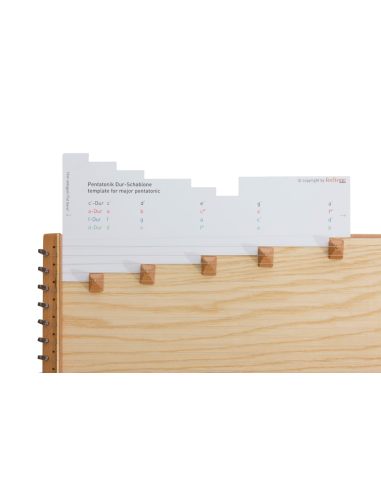 Monochord Monolina - 30 cordes - MO-34 - Feeltone - RÉ