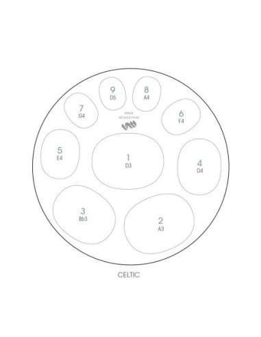 Spacedrum INOX - 9 notes - CELTIC - RÉ mineur