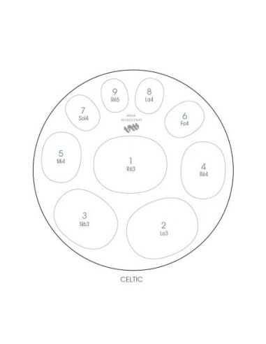 Spacedrum INOX - 9 notes - CELTIC - RÉ mineur