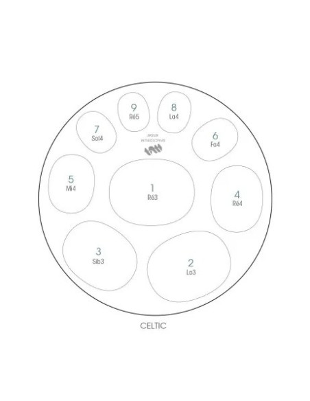 Spacedrum INOX - 9 notes - CELTIC - RÉ mineur