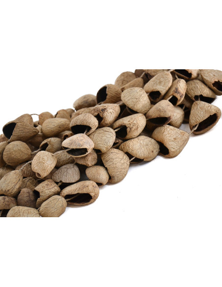 Crécelle pangi avec poignée - ROOTS