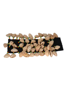Crécelle kenari - Modèle large 4 rangs - élastique + velcro - Roots 2
