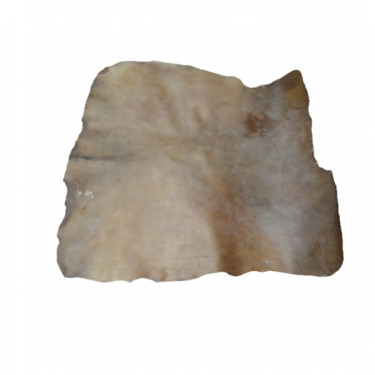 skin of horse
