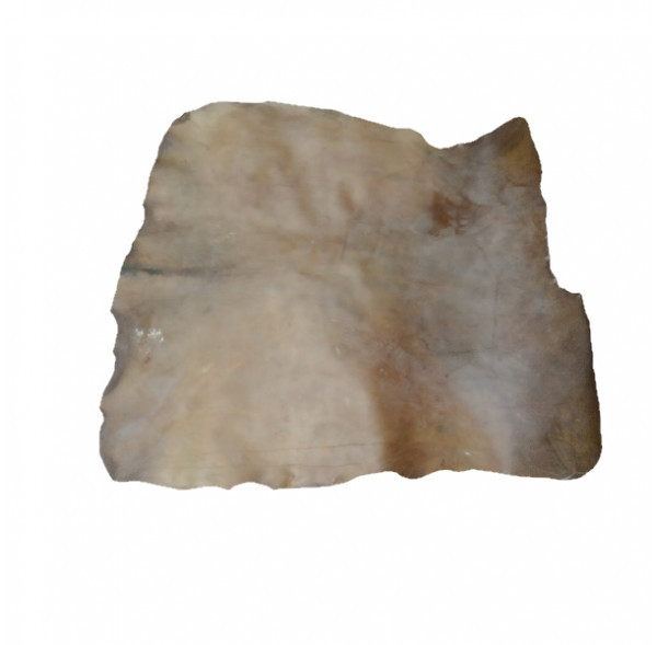 skin of horse