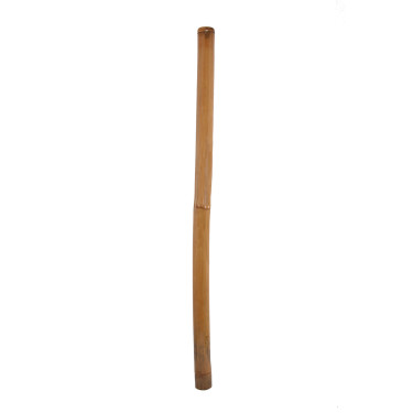 Didgeridoo bambou naturel