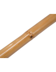 Didgeridoo bambou naturel 2