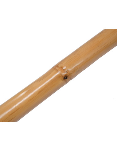 Didgeridoo bambou naturel