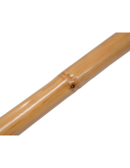 Didgeridoo bambou naturel