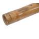 Didgeridoo bambou naturel