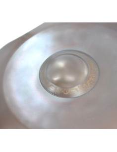 HANDPAN MAESTROPAN Ré KURD 9 Notes + housse 2