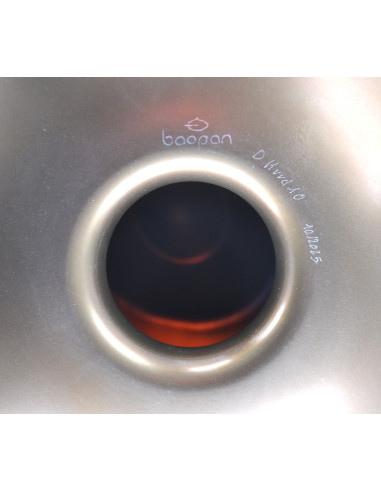 HANDPAN BAOPAN - D KURD 10 notes - INOX