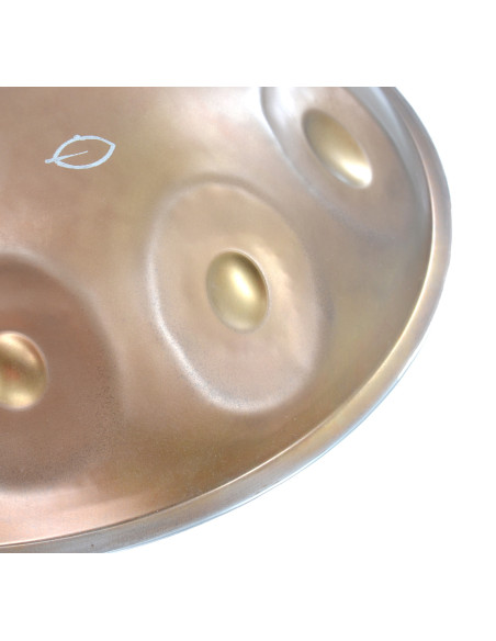 HANDPAN BAOPAN - D KURD 10 notes - INOX