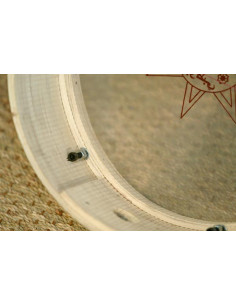 Bendir peau plastique 35 cm - Maroc 2