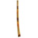 Teak Didgeridoo - Hand Painted - 130cm - ROOTS