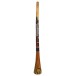 Didgeridoo eucalyptus peint