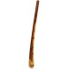 Didgeridoo - Natural eucalyptus