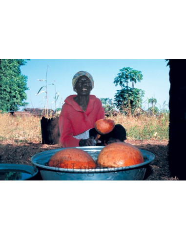 Ethno'Kit Africa - 10 Posters + 1 DVD + 1 fichier PDF