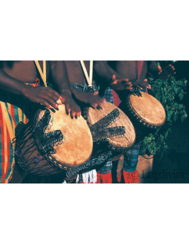 Ethno'Kit Africa - 10 Posters + 1 DVD + 1 fichier PDF