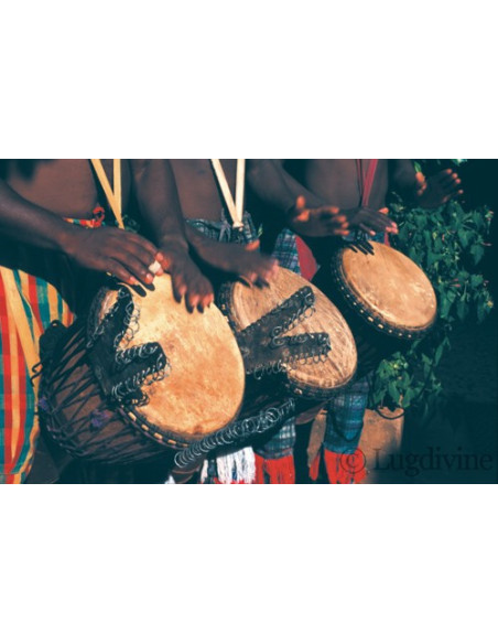 Ethno'Kit Africa - 10 Posters + 1 DVD + 1 fichier PDF