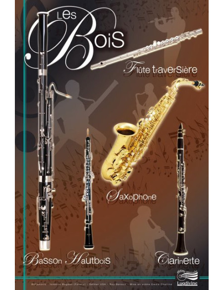 Posters 'Les instruments de l'orchestre' - 4 posters 60 cm x 42 cm 