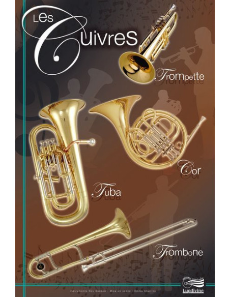 Posters 'Les instruments de l'orchestre' - 4 posters 60 cm x 42 cm 