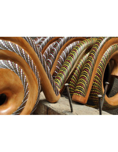 Didgeridoo escargot peint + housse