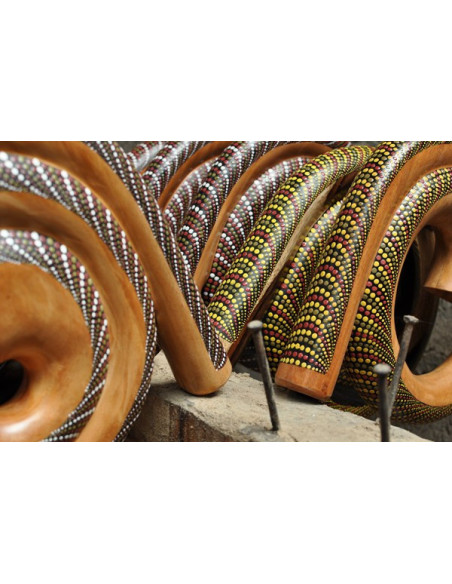Didgeridoo escargot peint + housse