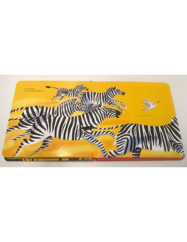  les  instruments d'Afrique - Livre + CD