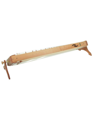 Monochord Concert - Koto & Tanpura - 46 cordes