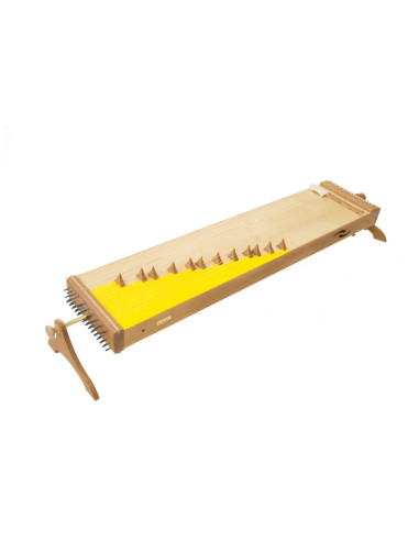 Monochord Concert - Koto & Tanpura - 46 cordes