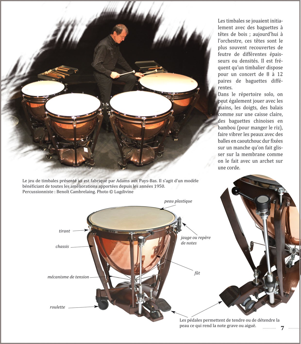 Batteries, percussions et accessoires : Instruments de musique et  équipement musical