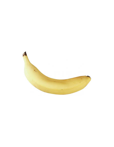 Shaker fruits - BANANE - Roots