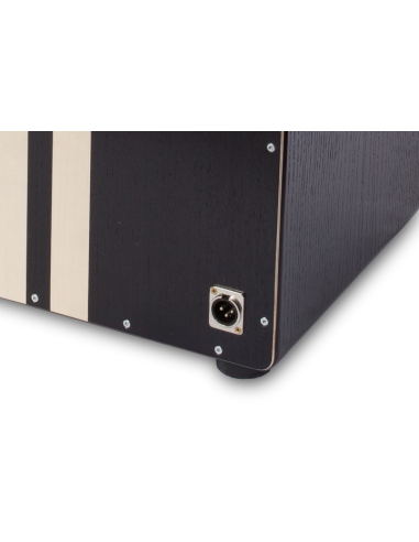 Cajon Stage DS - PC6399 - Pur Cajon