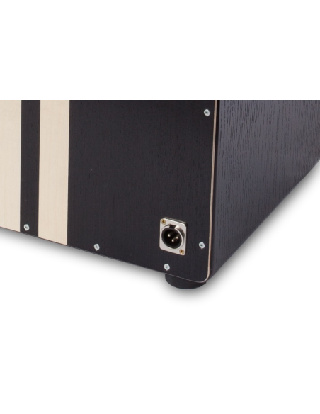 Cajon Stage DS - PC6399 - Pur Cajon