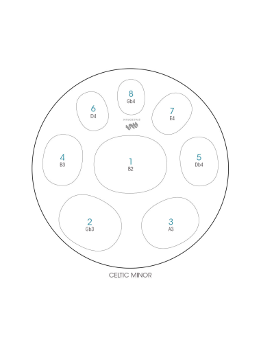 Spacedrum Evolution 8 notes - 60 cm - Celtic Minor - Schéma notation en anglais