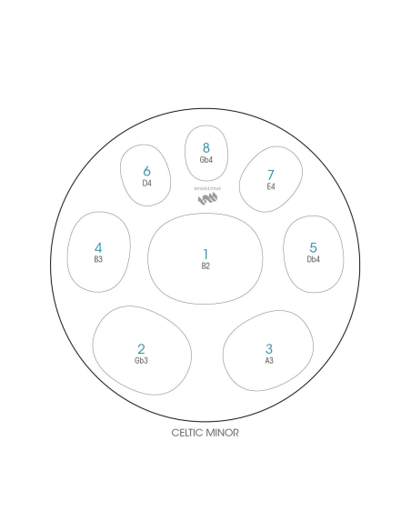 Spacedrum Evolution 8 notes - 60 cm - Celtic Minor - Schéma notation en anglais