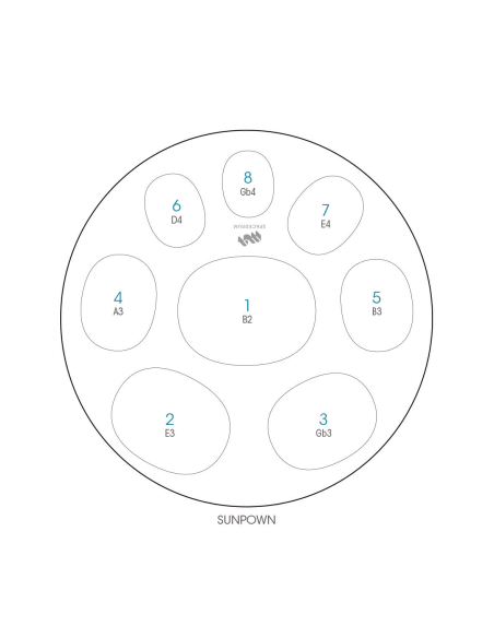 Spacedrum Evolution 8 notes - 60 cm - Sunpown - Schéma notation en anglais