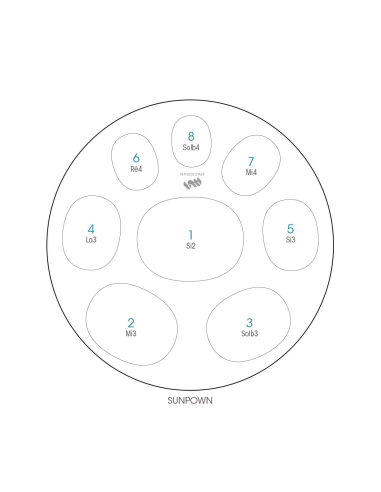 Spacedrum Evolution 8 notes - 60 cm - Sunpown - Schéma notation en français
