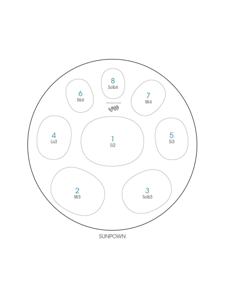 Spacedrum Evolution 8 notes - 60 cm - Sunpown - Schéma notation en français