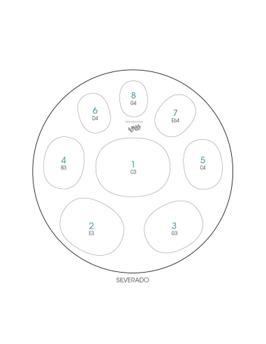 Spacedrum Evolution 8 notes - 60 cm - Silverado - Schéma notation en français