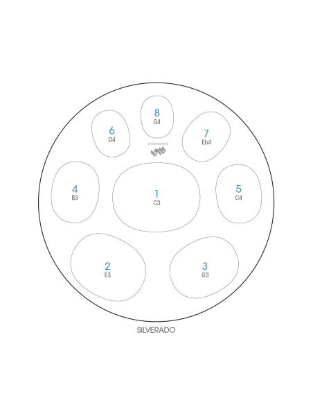Spacedrum Evolution 8 notes - 60 cm - Silverado - Schéma notation en français