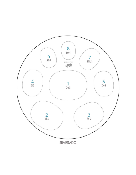 Spacedrum Evolution 8 notes - 60 cm - Silverado - Schéma notation en anglais