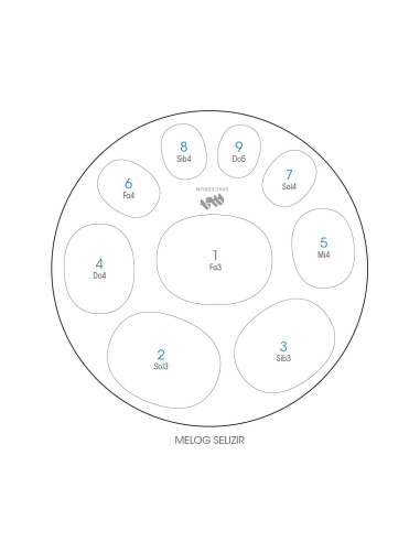 Spacedrum Evolution 9 notes - 60 cm - Melog Selizir - Schéma notation en français