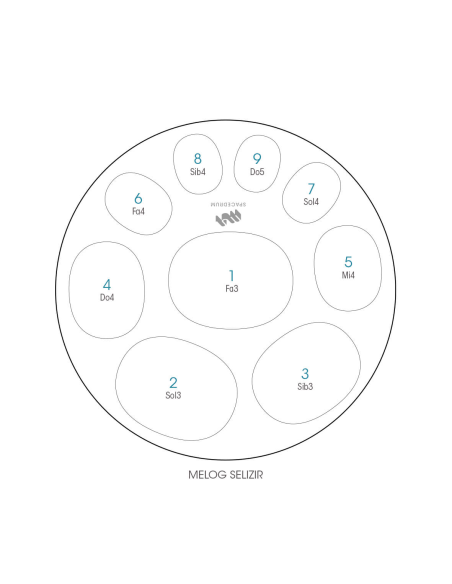Spacedrum Evolution 9 notes - 60 cm - Melog Selizir - Schéma notation en français