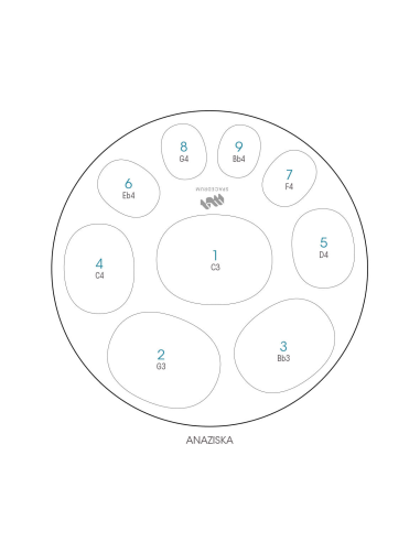 Spacedrum Evolution 9 notes - 60 cm - Anaziska - Schéma notation en anglais